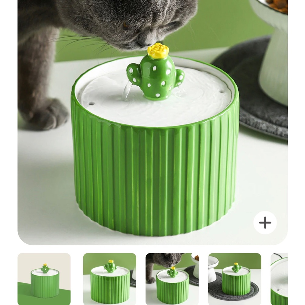 Happy and Polly Cactus Water Fountain